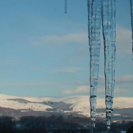 Stunning Views Of Ynyshir & Southern Snowdonia Machynlleth Dış mekan fotoğraf