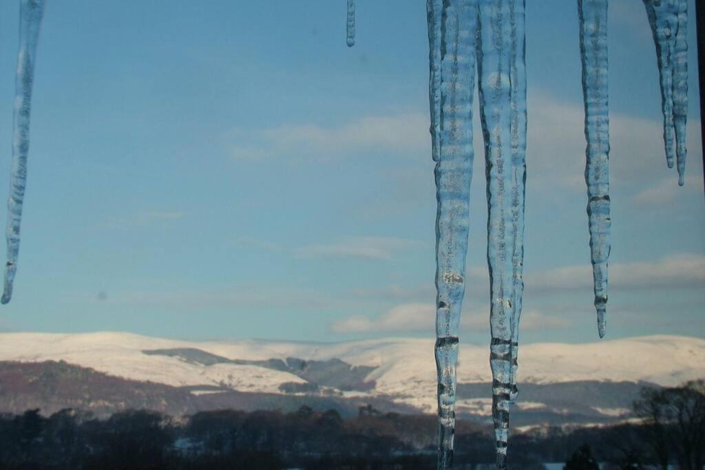 Stunning Views Of Ynyshir & Southern Snowdonia Machynlleth Dış mekan fotoğraf