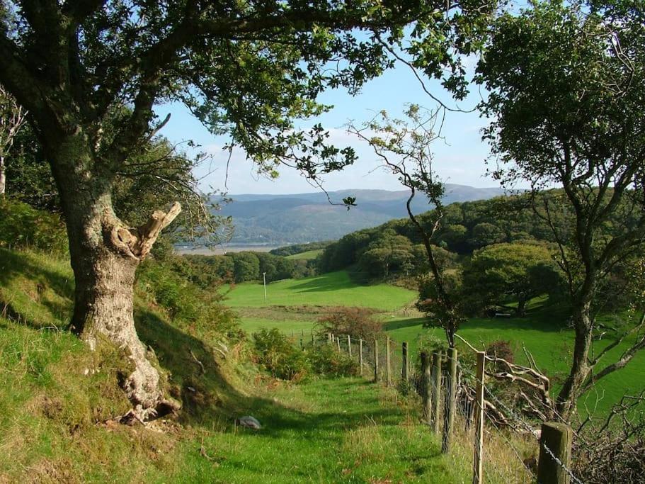 Stunning Views Of Ynyshir & Southern Snowdonia Machynlleth Dış mekan fotoğraf
