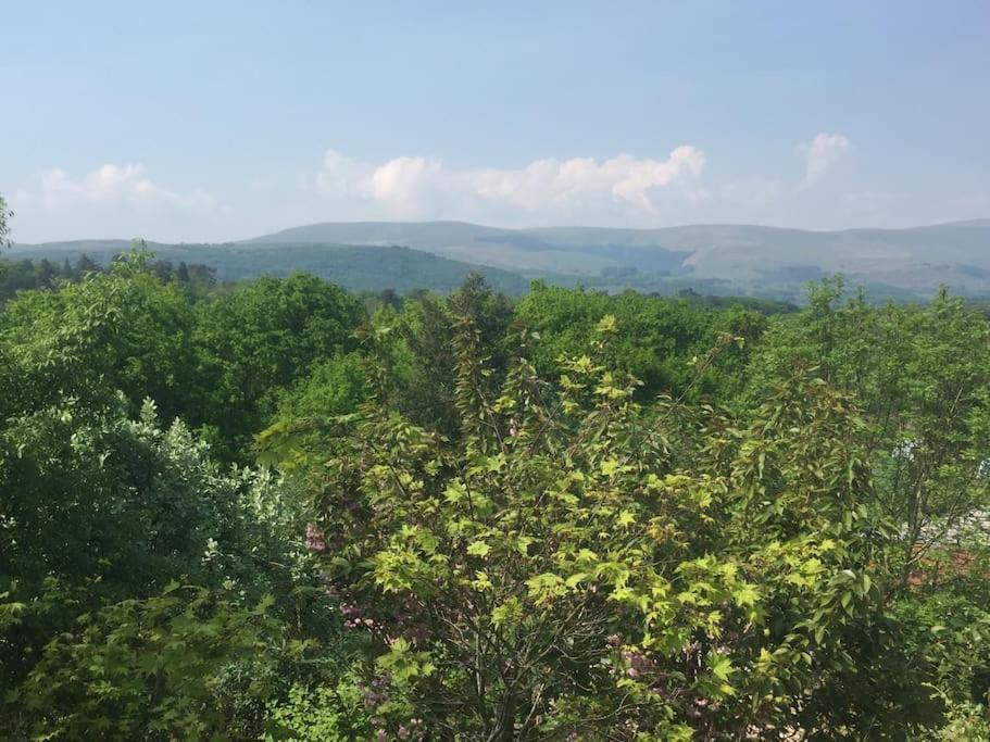 Stunning Views Of Ynyshir & Southern Snowdonia Machynlleth Dış mekan fotoğraf